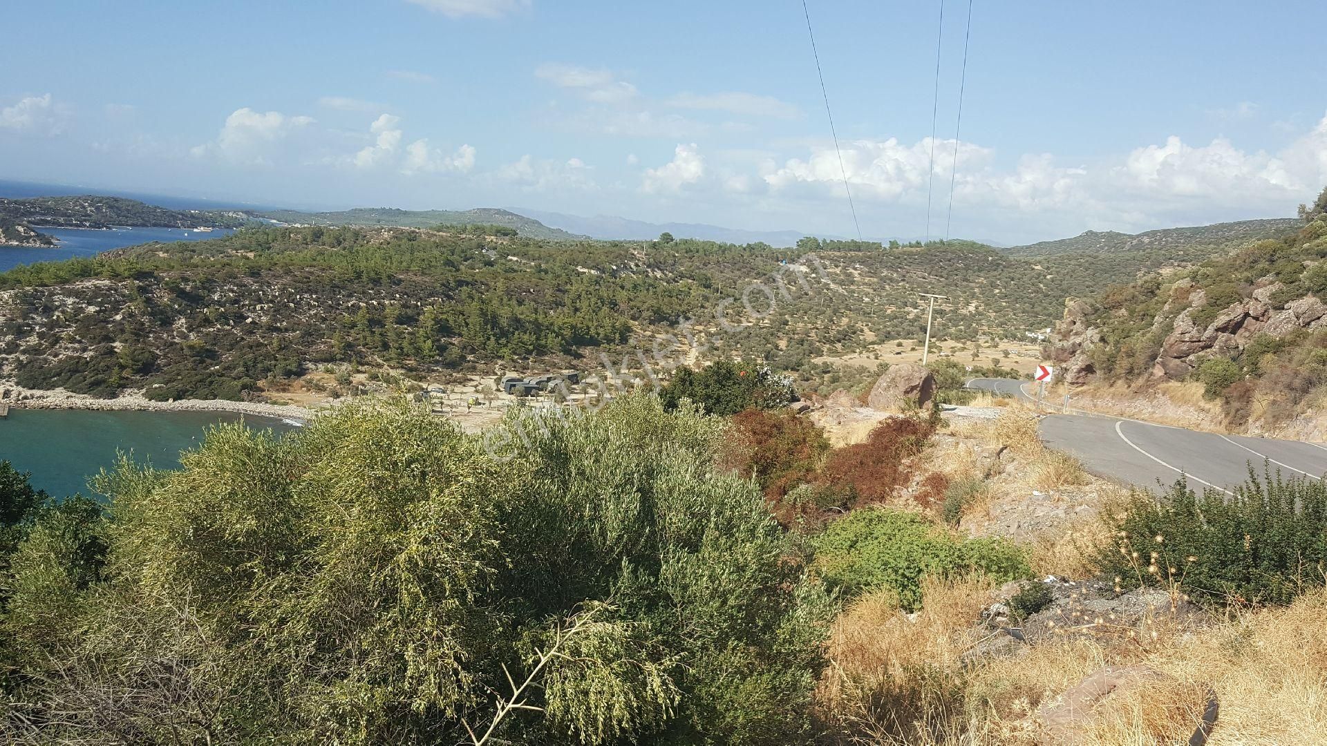 Ays'den Çandarlı Da Satılık Villa - Görsel 5