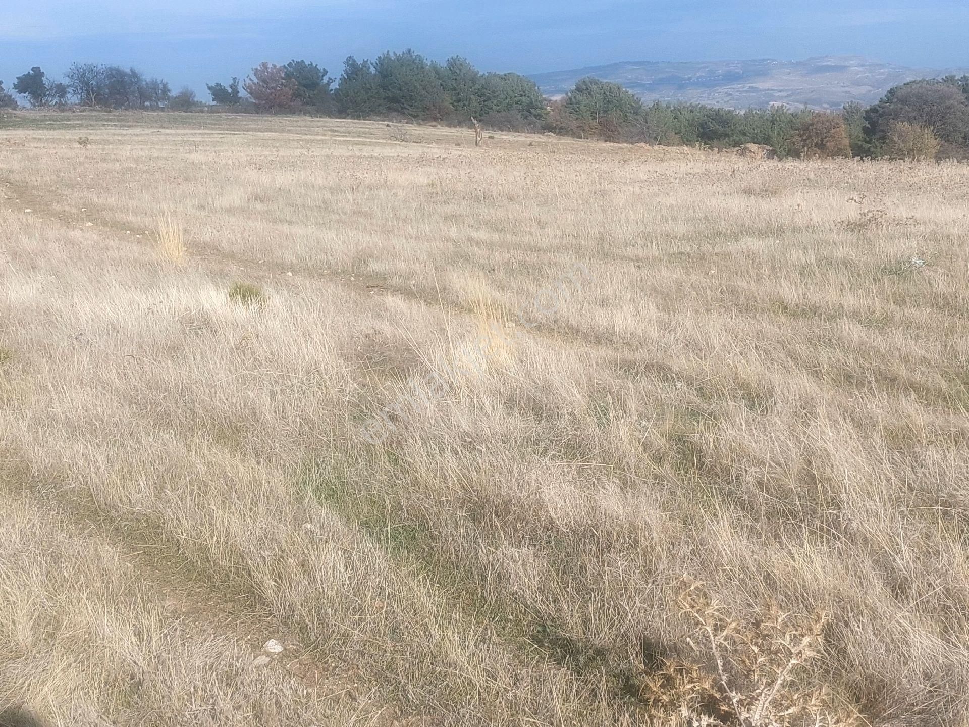 Çanakkale Merkez Denizgöründü Köyü Satılık Tarla Çanakkale Merkez Denizgöründü Köyünde Acill Satılık Tarla