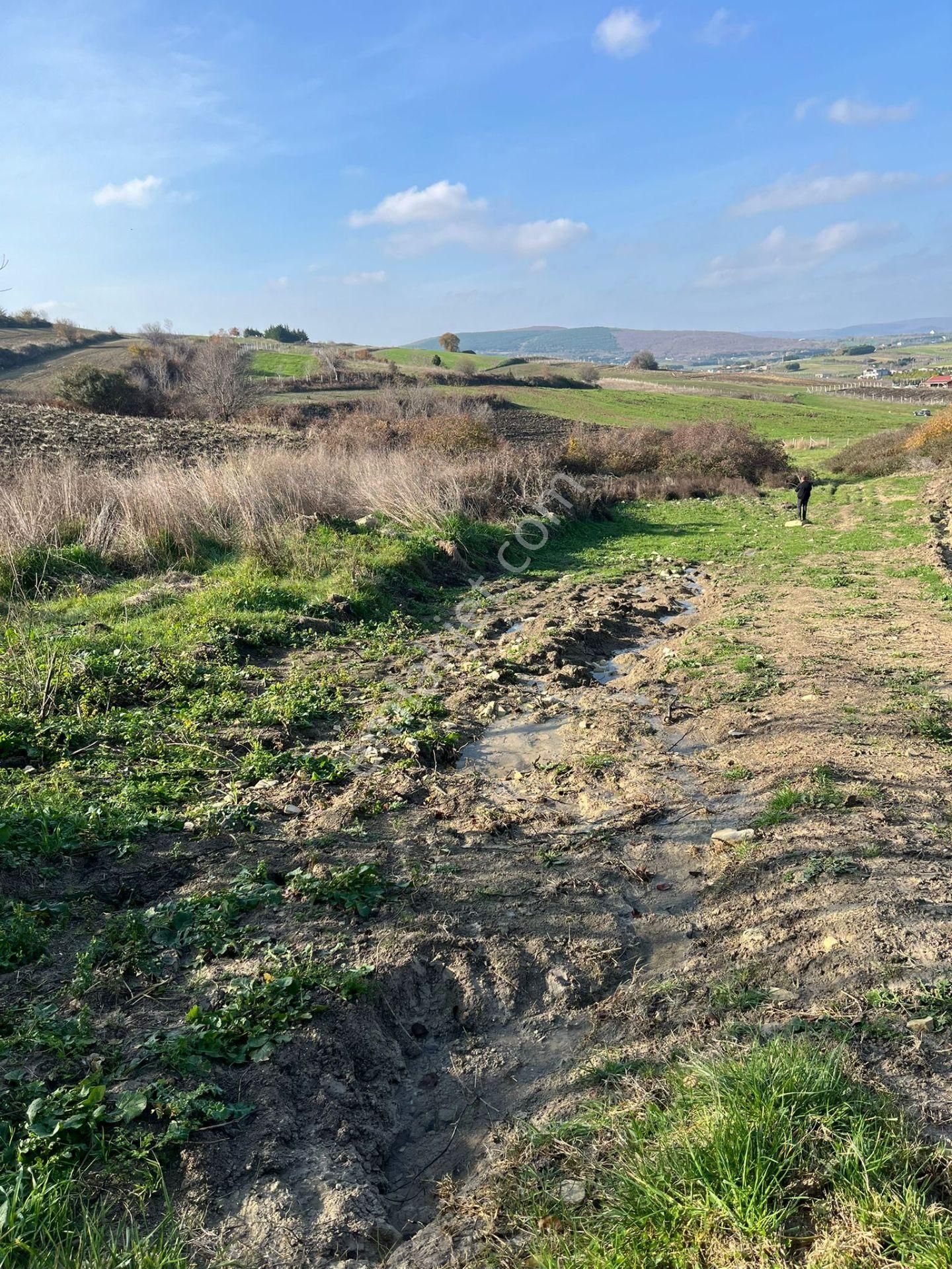 Çatalca Çanakça Satılık Tarla Çatalca Çanakça 556m2 Tek Tapu Yola Yerleşime Yakın Konum Da Kupon Arsa