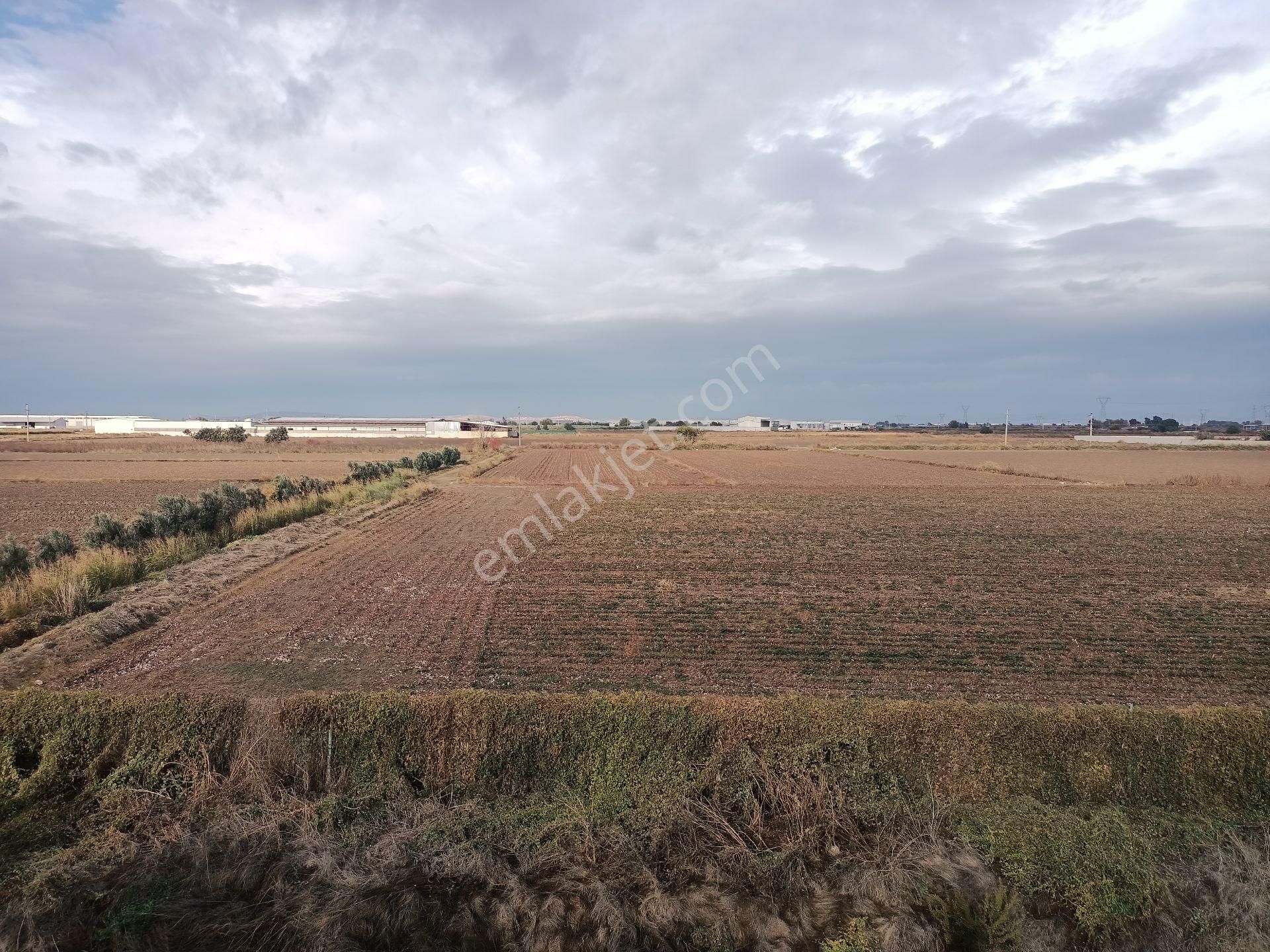 Menemen Ulucak'ta 1600m2tara - Görsel 7