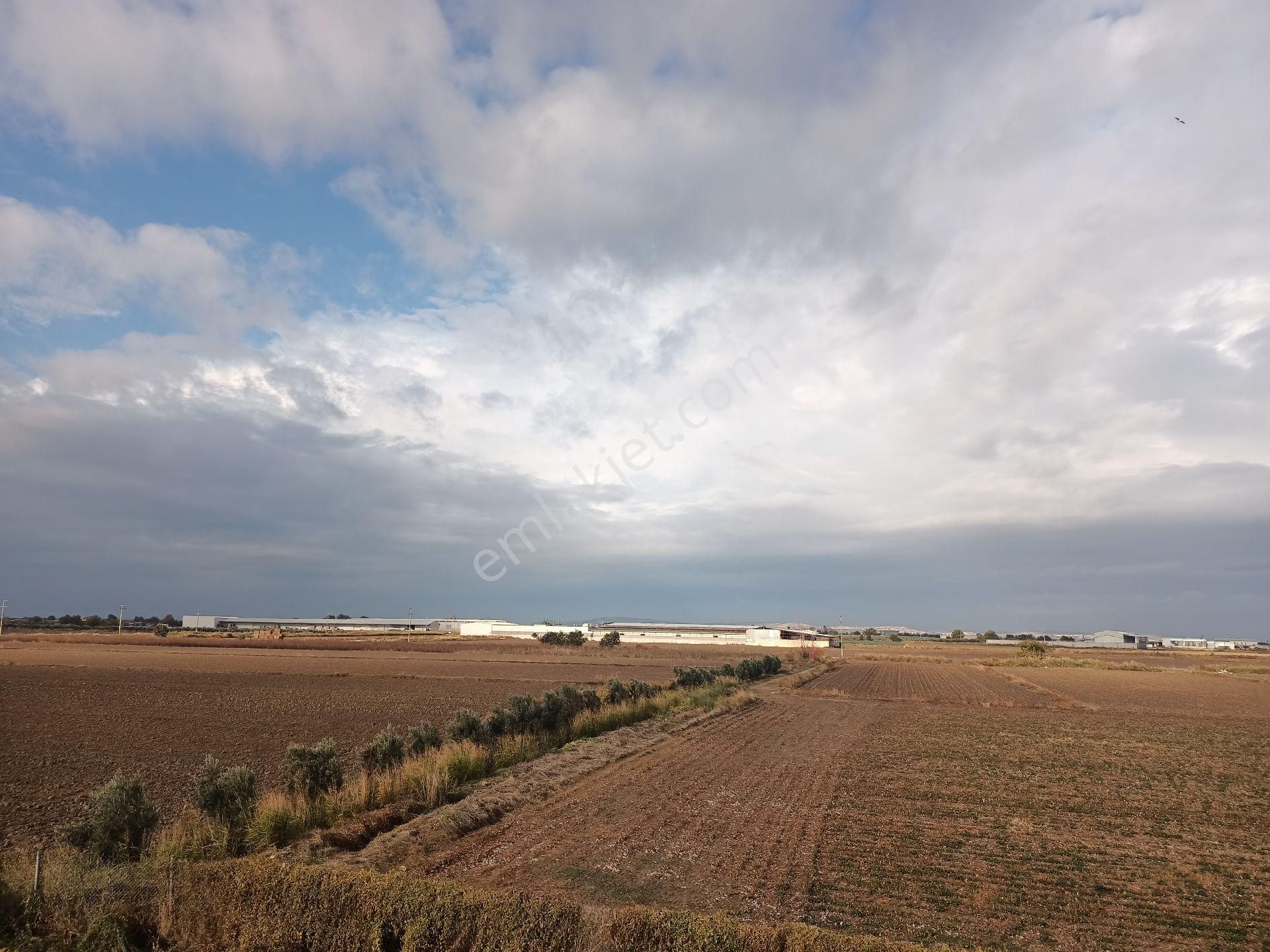 Menemen 29 Ekim Satılık Tarla Menemen Ulucak'ta 1600m2tara