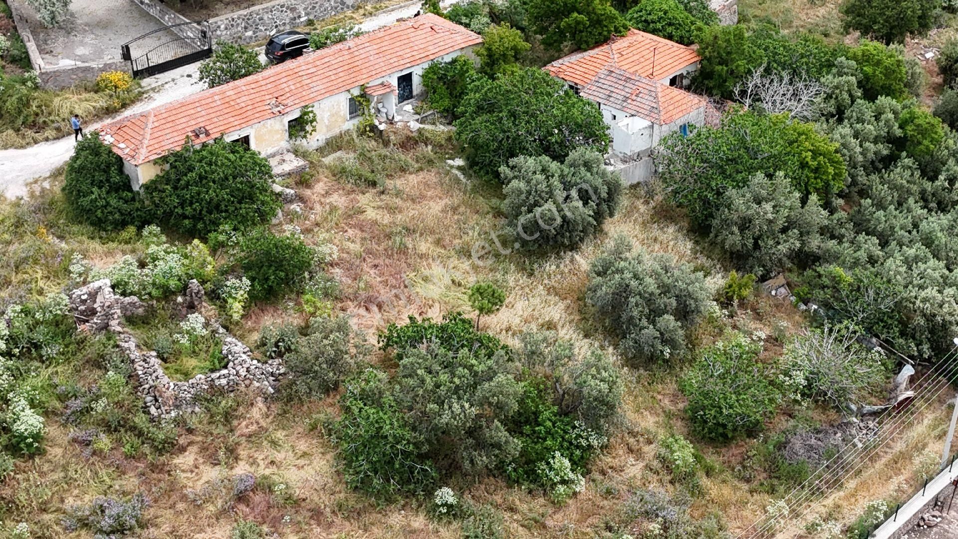 İzmir Dikili Kabakum Da Toplu Konut İmarlı Satılık Arsa