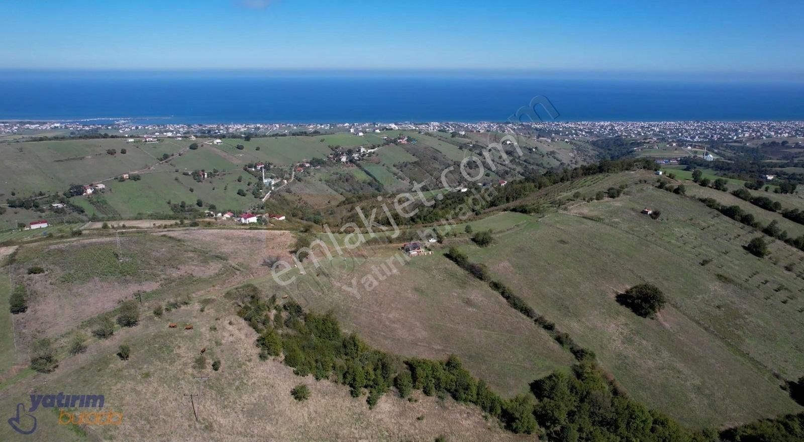 Atakum Kurugökçe Satılık Tarla Atakum Kurugökçe 1753m2 Deniz Ve Göl Manzaralı Köy Yerleşkesinde