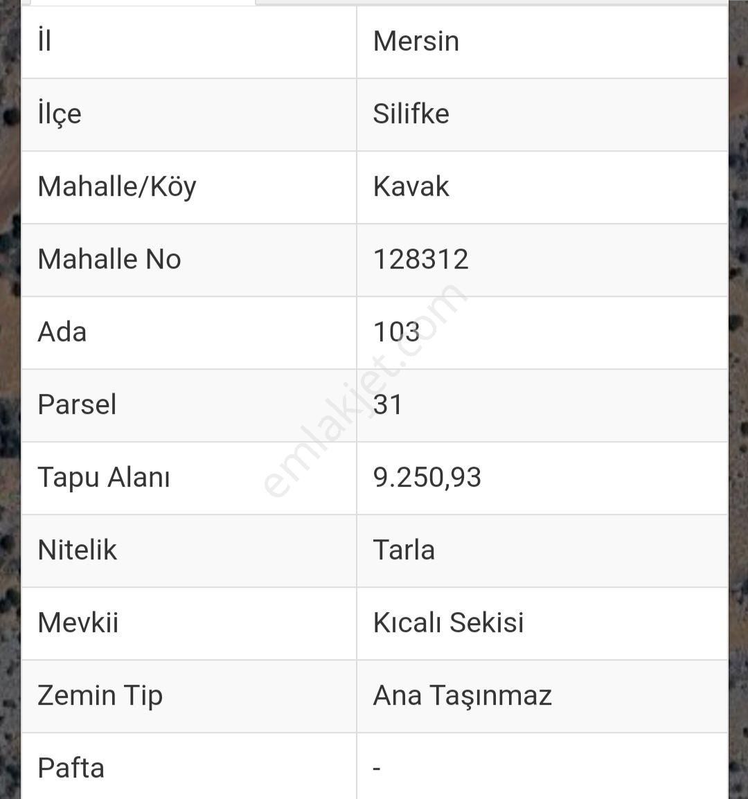 Silifke Kavak Satılık Tarla 9250m² Mersin Silifke Kavak Mah