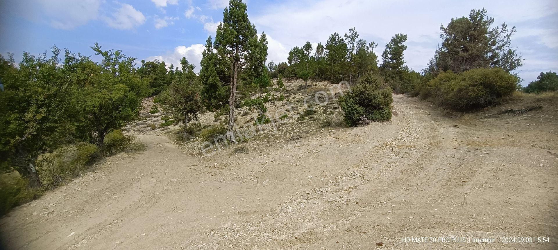 Çameli İmamlar Satılık Tarla Erkuş Gyodancçameli İmamlar Akasa Açık Arazi