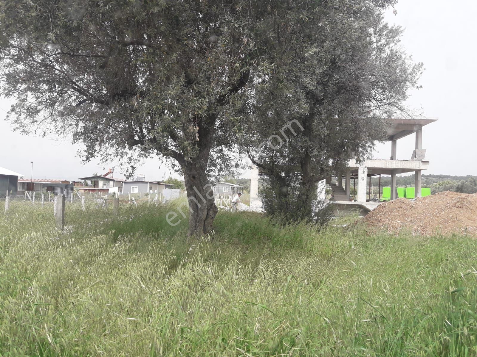 Buca Da Muhteşem Konumda Arsa - Görsel 3