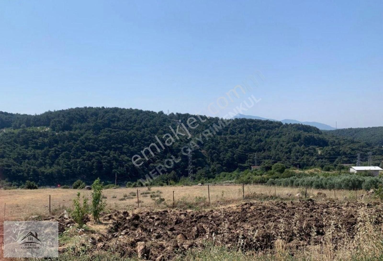 Bornova Karaçam Satılık Tarla Bornova Karaçam'da Orman Manzaralı Köy İçinde Satılık Arsa.