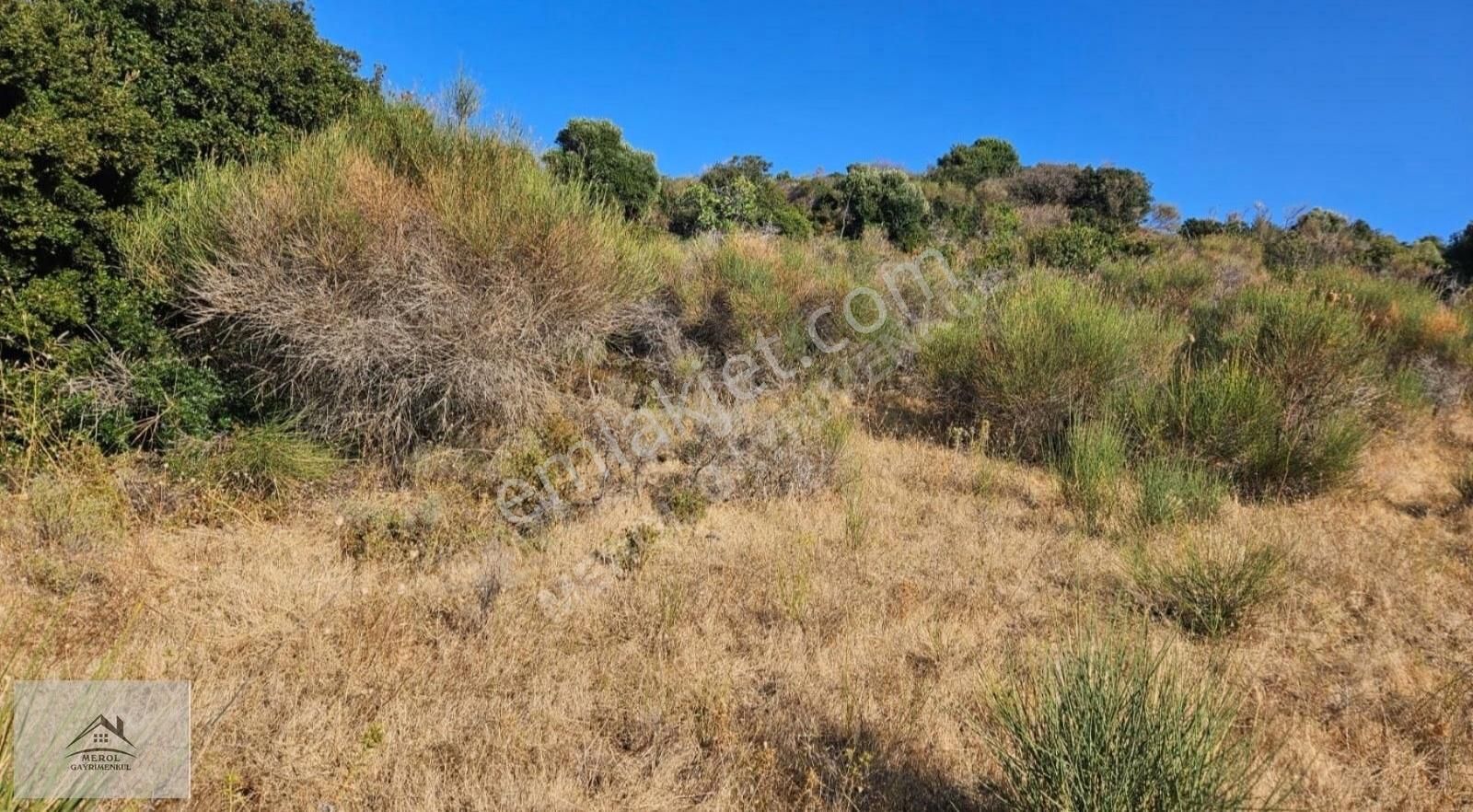 Karaburun Hasseki Harça'da Denize Sıfır Yola Yakın Cepheli Arsa - Görsel 16