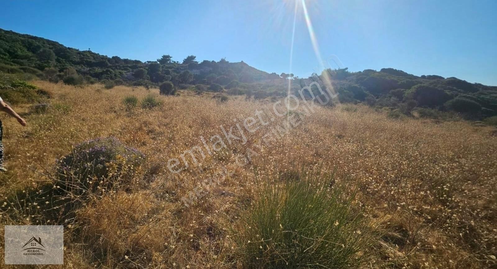 Karaburun Hasseki Harça'da Denize Sıfır Yola Yakın Cepheli Arsa - Görsel 13