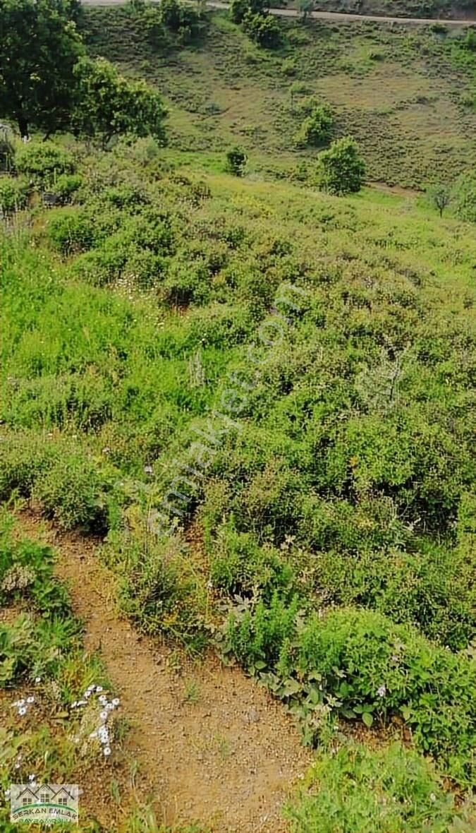 Biga Ilıcabaşı Köyü Satılık Tarla Serkan Emlaktan Çanakkale Ilıcabaşı Yola Cephe 6826m2 Bu Fiyata