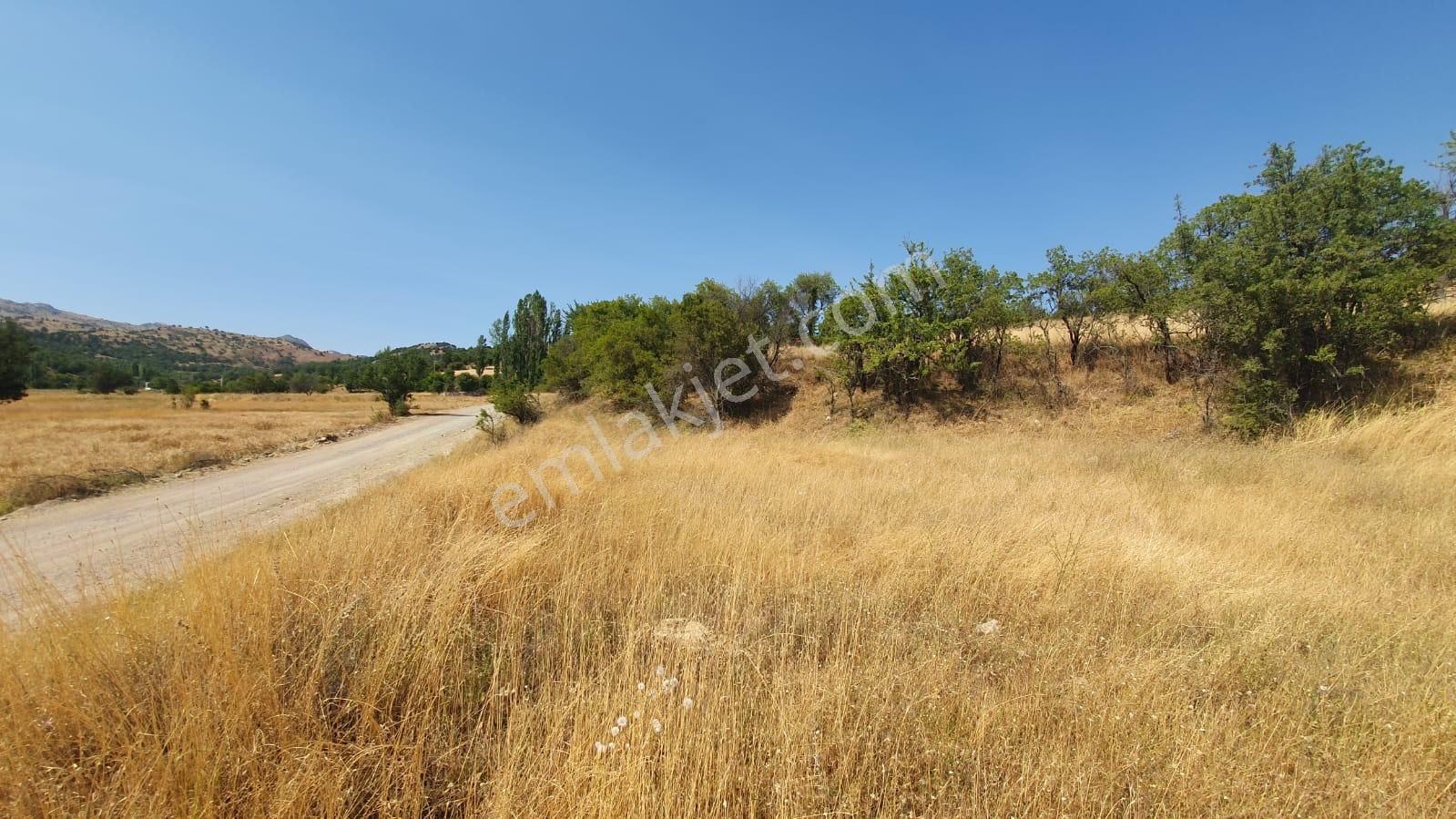 Seydikemer Çobanisa Satılık Tarla Stop’tan Seydikemer Çobanisa Yola Cephe Tarla