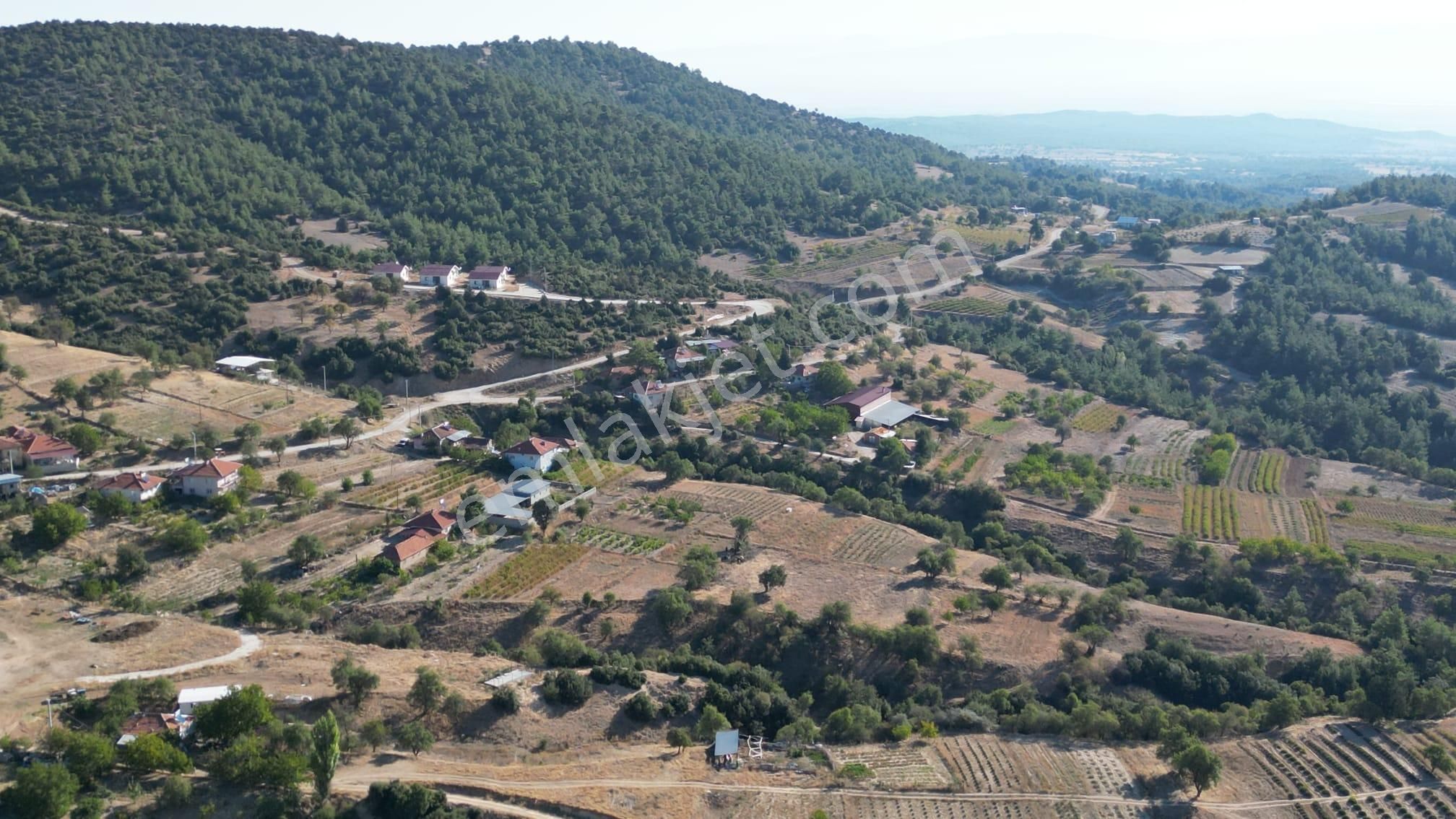 Dazkırı Darıcılar Köyü Satılık Konut İmarlı Afyon Dazkırında Köy İçinde Yolu Olan Tarla