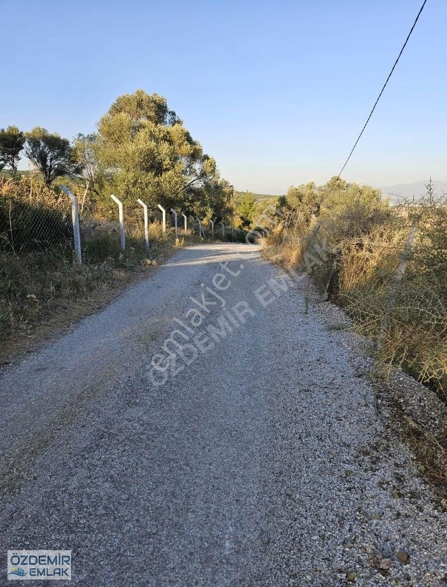 Menderes Akçaköy Satılık Tarla Özdemir Emlatan Satılık Tek Tapu Tarla