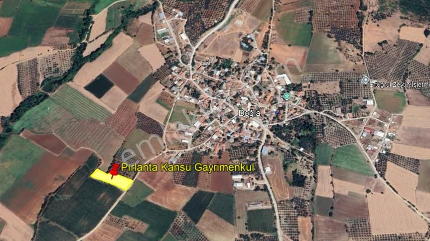 Bursa Karacabey Doğla Mah. 3.900 M2 Satılık Tarla Yatırımlık - Görsel 2