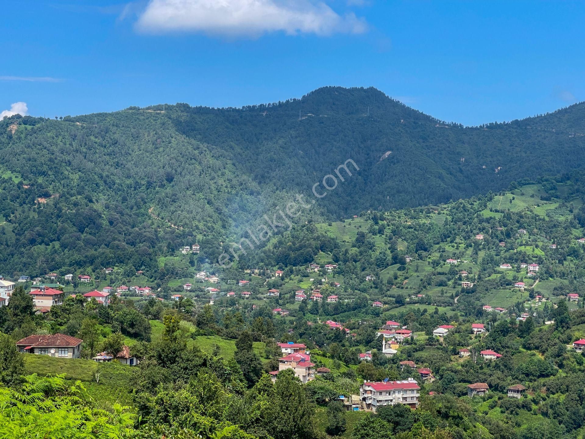 Arhavi Gürgencik Köyü Satılık Konut İmarlı Artvin Arhavi'de Denize 10km(16dk) 370m² İmarlı Köyiçi Asfalta Cephe