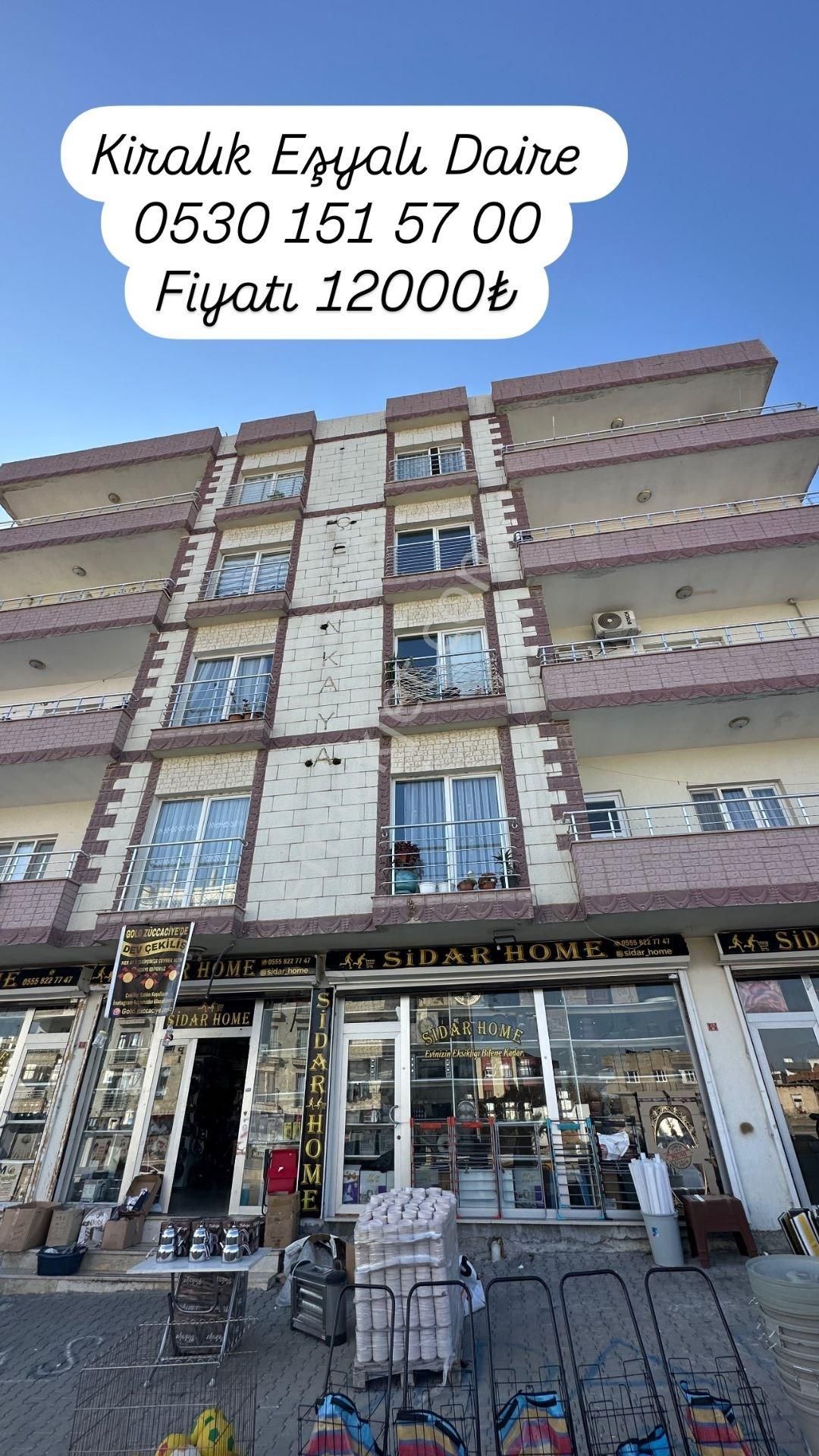 Nusaybin 8 Mart Kiralık Daire 8 Mart Mahallesi Eşyalı Daire