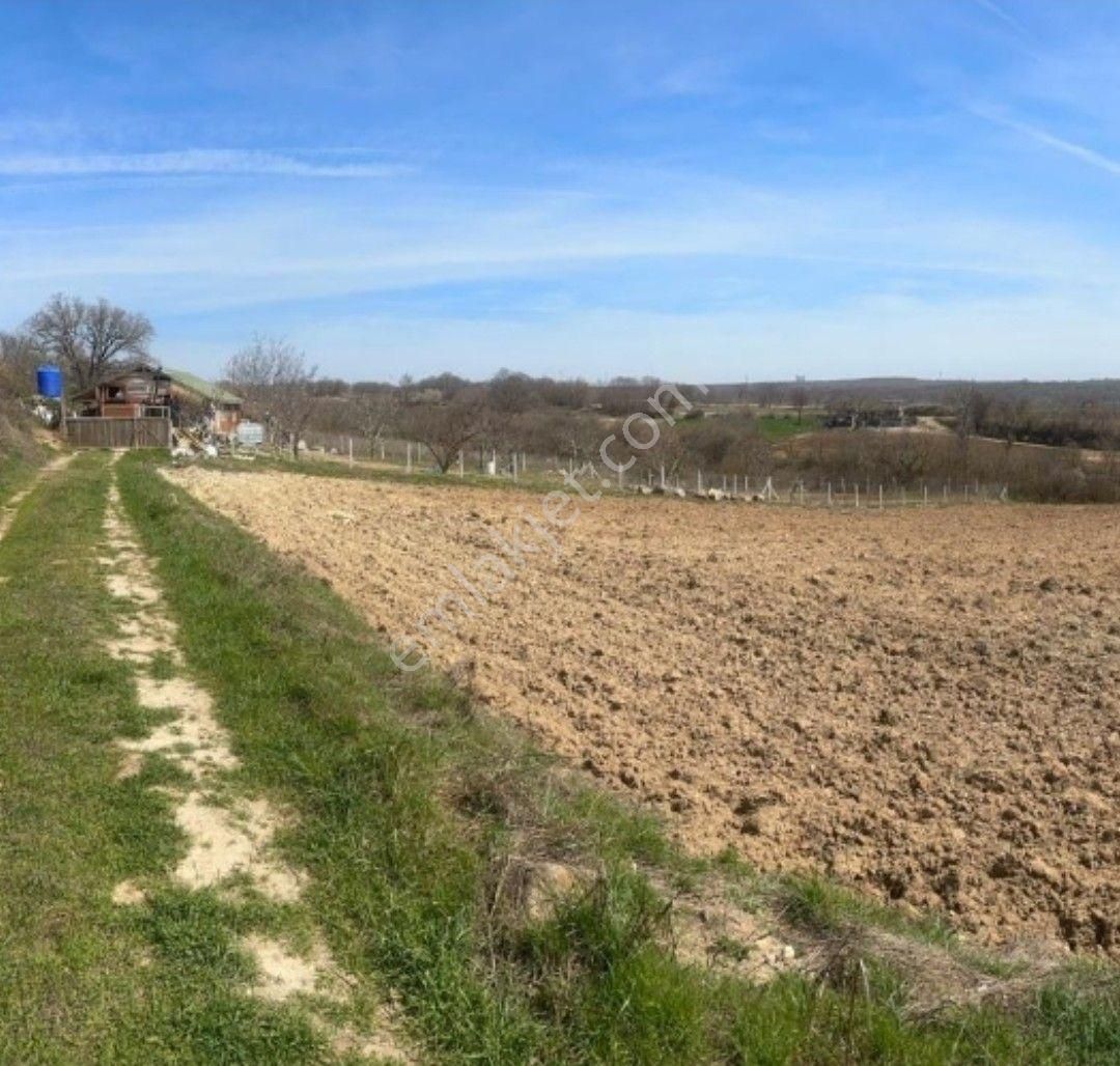 Vize Soğucak Köyü Satılık Tarla Vize Soğucak 3422 M² Tek Tapu Ormana Cephe Satılık Arazı