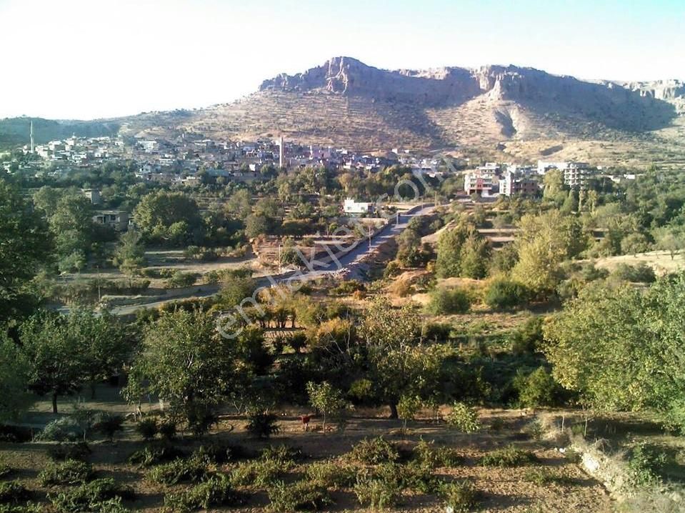 Mardin Artuklu Da İş Yeri Ve Arsası Tapu Sahibi Perta Emlak Ümit Tahmaz - Görsel 14