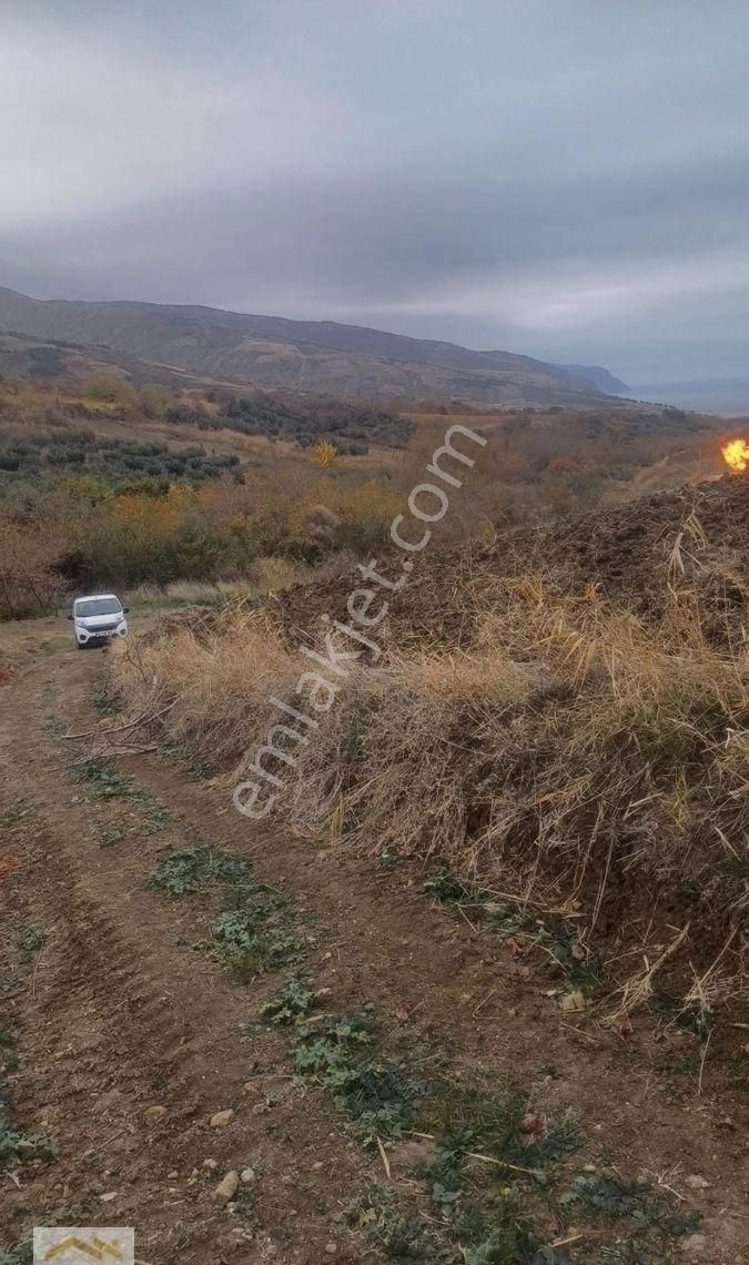 Şarköy Gaziköy Satılık Tarla Müstakil Tek Tapu Şarköy Tarla