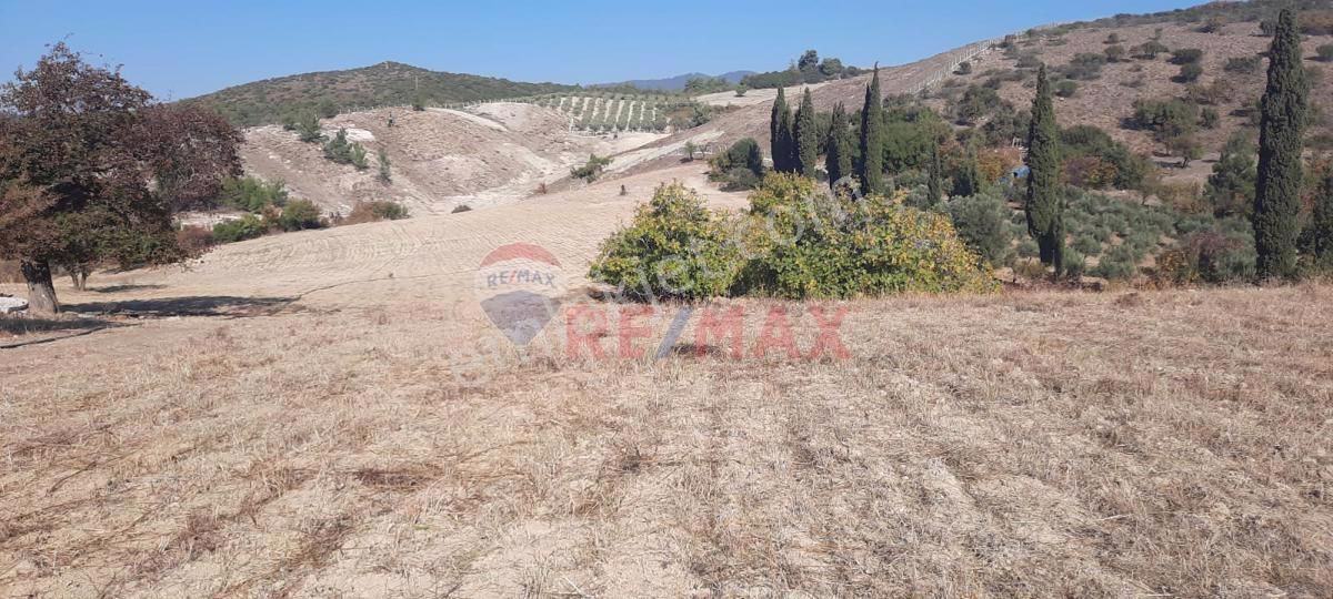 Kuşadası Caferli Satılık Tarla Caferli'de Gelecek Vadeden Deniz Manzaralı Yatırımlık Arazi