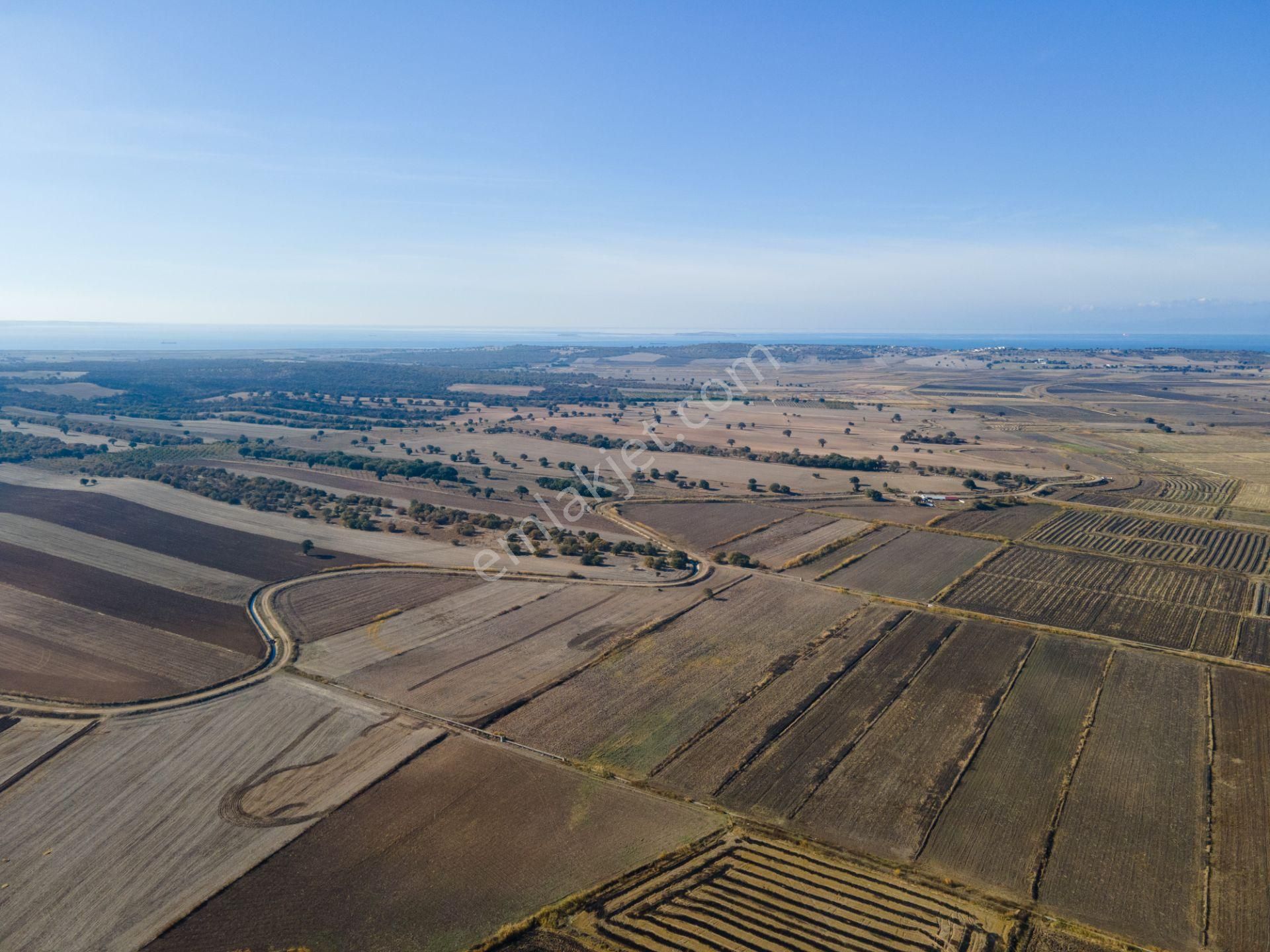 Ezine Mahmudiye Köyü (Atatürk) Satılık Tarla Ezine Mahmudiye'de 11.867m² Yolu Mevcut İyi Konumda Tarla