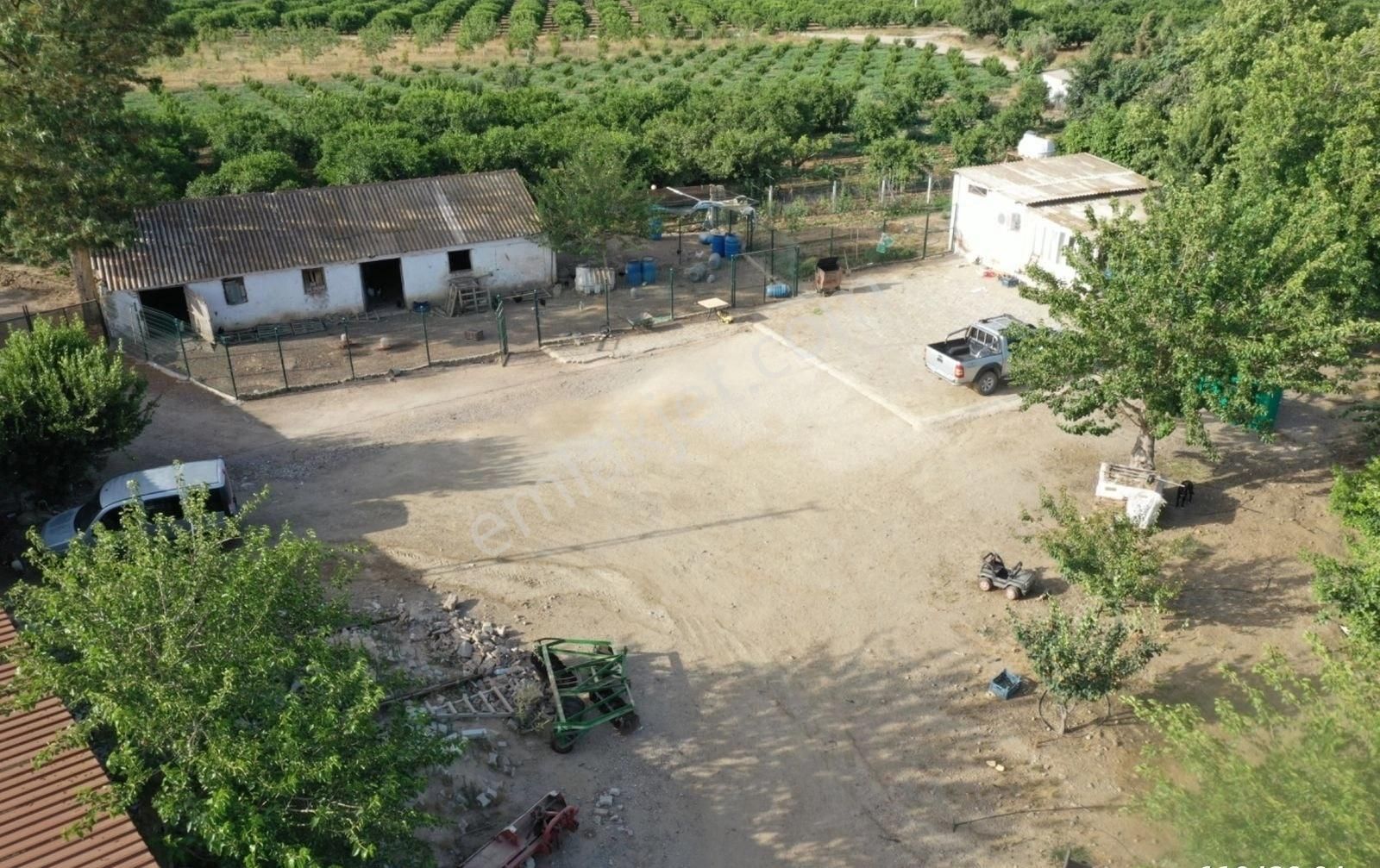 Günay Emlak'tan İzmir Selçuk'ta 50 Dönüm Satılık Besi Çifliği Şeftali Tarlası - Görsel 14