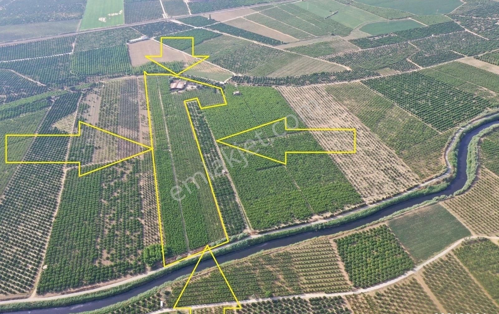 Günay Emlak'tan İzmir Selçuk'ta 50 Dönüm Satılık Besi Çifliği Şeftali Tarlası - Görsel 32