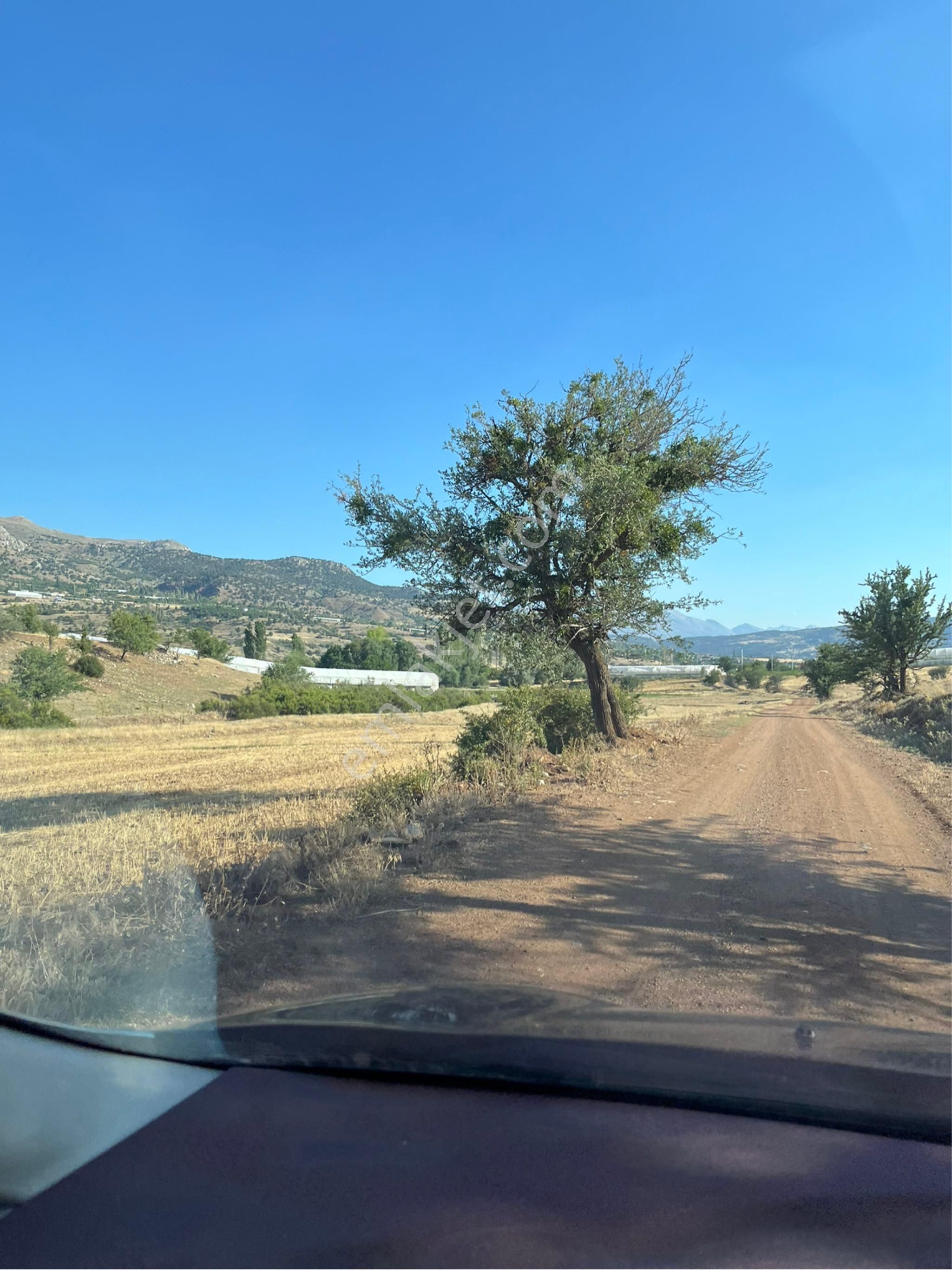 Seydikemer Bekçiler Satılık Tarla Bekçiler De Satılık Tarla