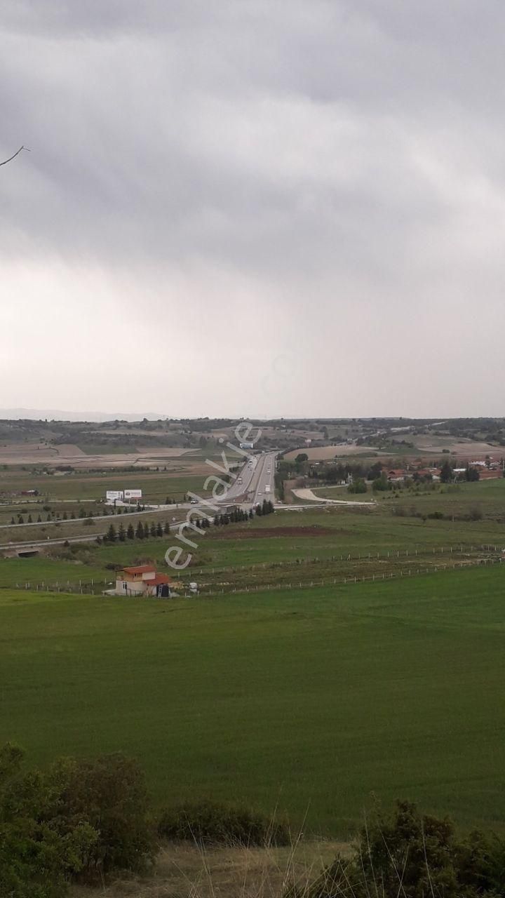 Kütahya Merkez Sobran Köyü Satılık Bağ & Bahçe Süper Meyve Aronya Bahçesi