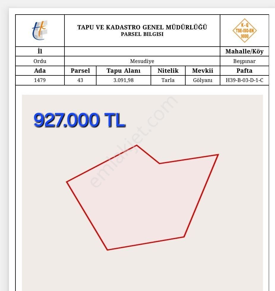 Mesudiye Beşpınar Satılık Tarla Mesudiye_ordu Arazi