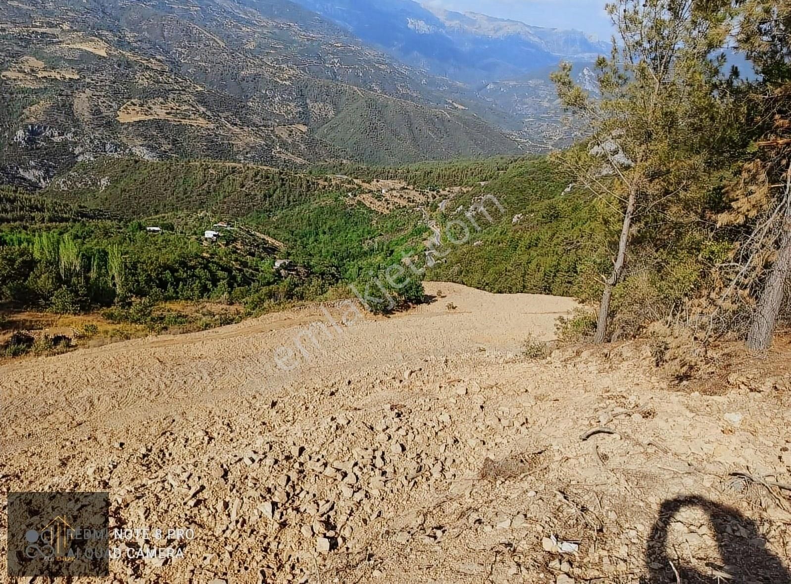 Gazipaşa Çile Satılık Tarla Gazipaşa Çile Köyünde Satılık 29 Dönüm Tarla