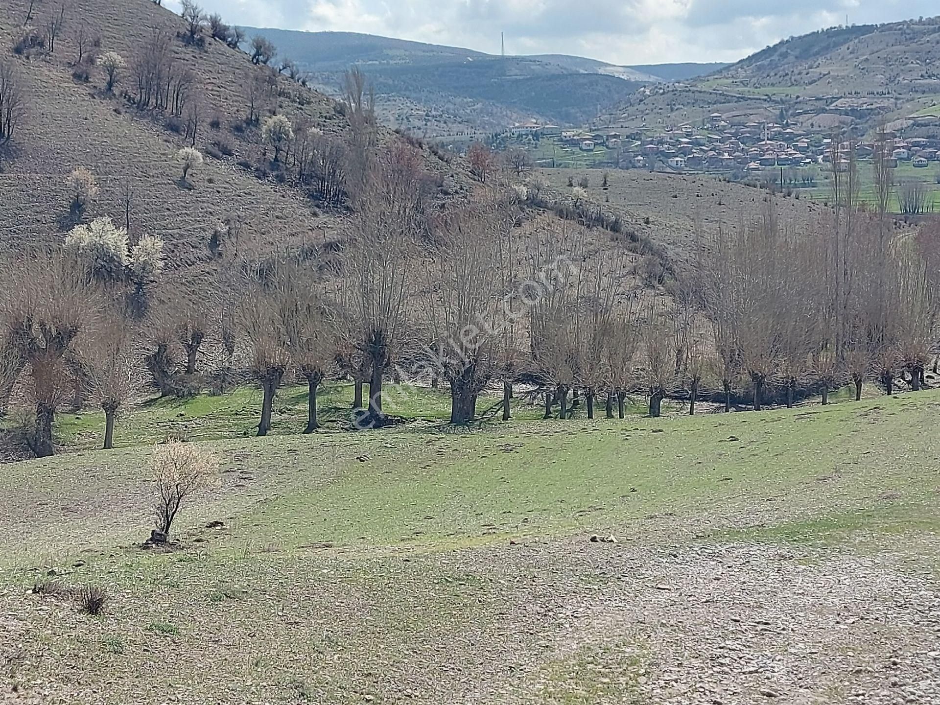 Kızılcahamam Çeltikçi Satılık Tarla Murat Türkmen'den Kızılcahamam Çeltikçi'de Kaçırılmayacak Yıl Sonu Fırsatı Tek Tapu Tek Fiyat