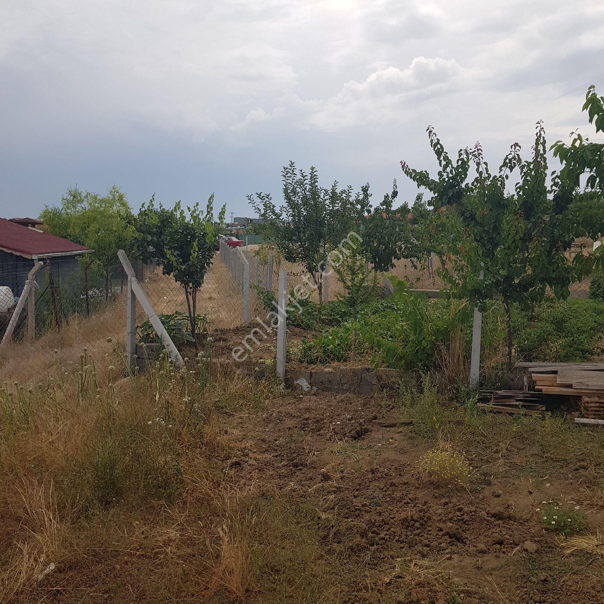 Ankara Altında Da Arsa - Görsel 7