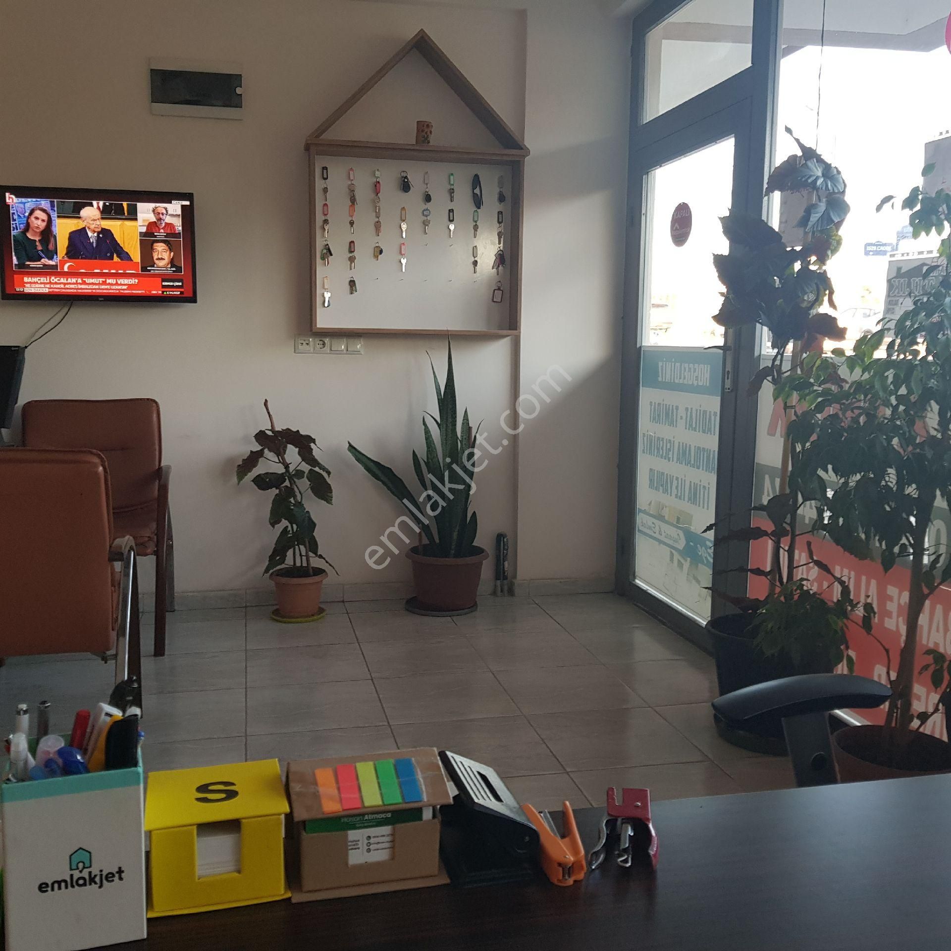 Ankara Altında Da Arsa - Görsel 14