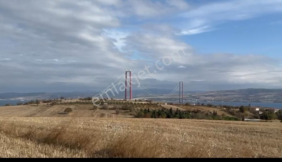 Gelibolu Sütlüce Köyü Satılık Tarla Gelibolu Sütlüce 3.500m2 Dedelerimizin Bize Alamadığı Boğaz Manzaralı Arsa