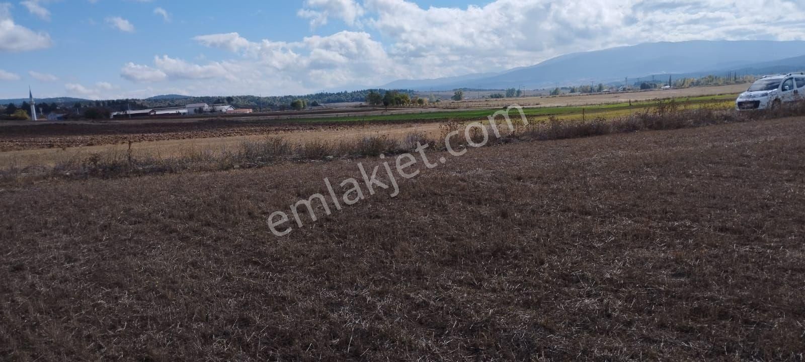 Daday Bağışlar Köyü (Merkez) Satılık Tarla Kastamonu Dadayda Satılık Tarla