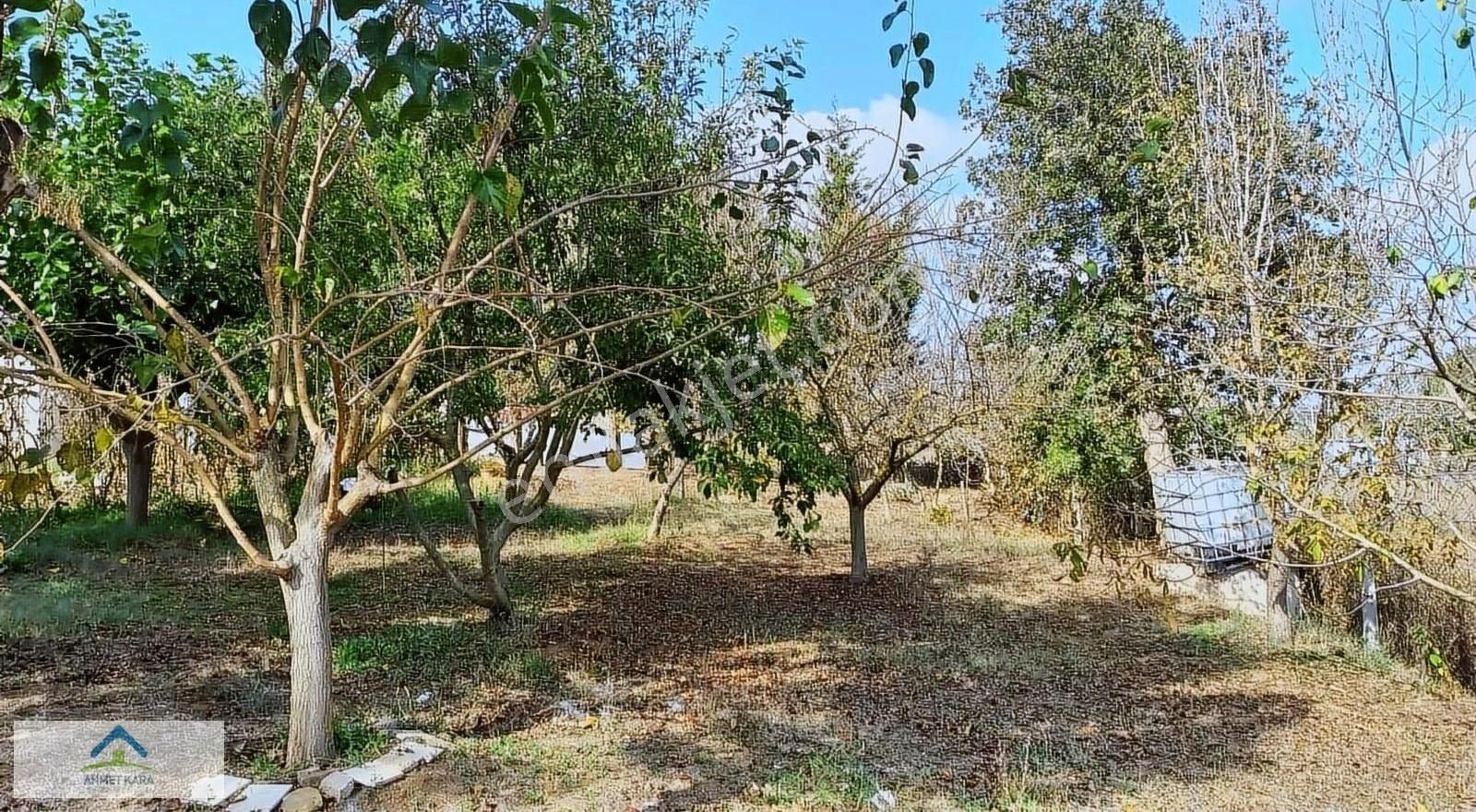 Gebze Mollafenari 3 Parça Tek Tapu Arazi İçinde Eksiksiz Özel Ev - Görsel 5