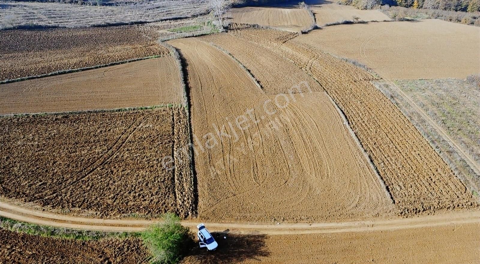 Kaynarca Uğurlu Satılık Tarla Sakarya Kaynarca Uğurluda Kadastrol Yol Cepheli Köye Yakın Arazi