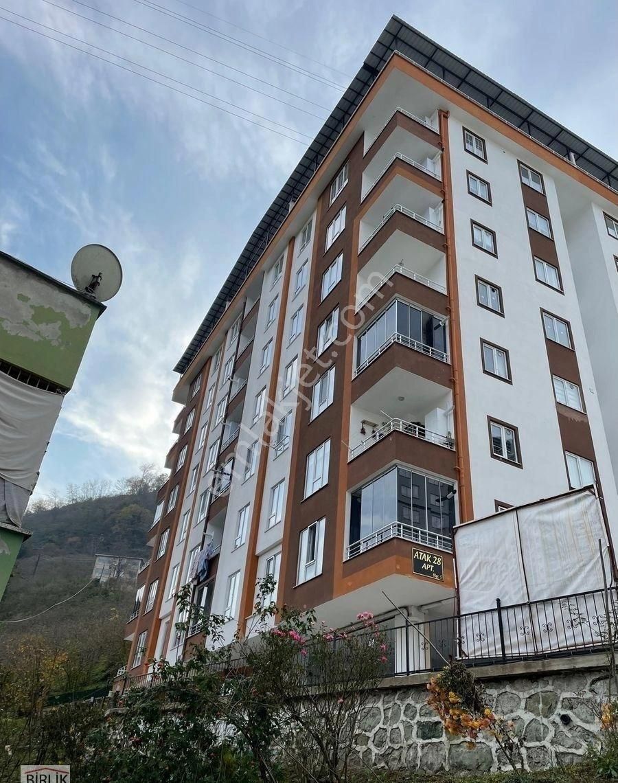 Giresun Merkez Seldeğirmeni Kiralık Daire Giresun Merkezde Kiralık Daire