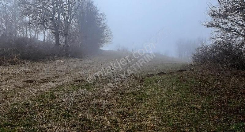 Mudurnu Dereköy Köyü Satılık Tarla Karamurat Gölü Manzaralı Çift Kadastrol Yollu 7624 M2 Arazi