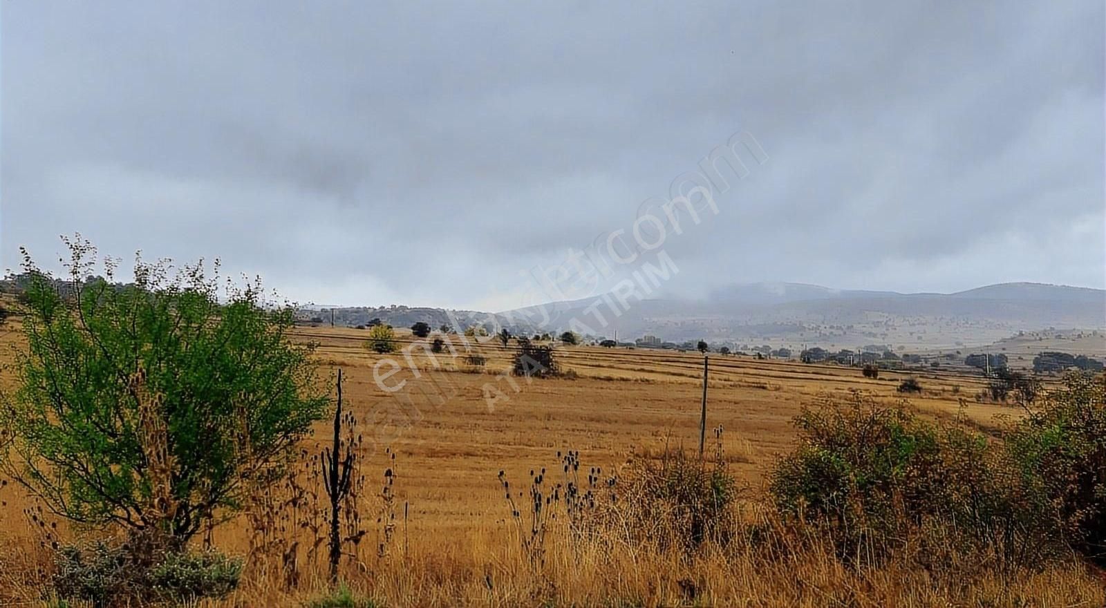 Tavşanlı Kargılı Köyü Satılık Tarla Kütahya Tavşanlı Kargılıda Kadastrol Yol Cepheli 3328 M2 Arazi