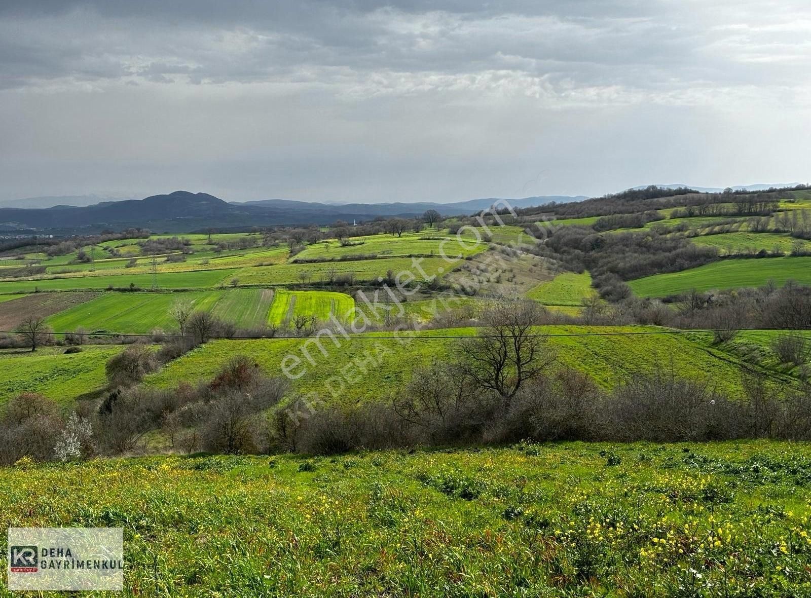 Mustafakemalpaşa Güllüce Satılık Tarla Mustafakemalpaşa Güllüce'de 25.000 M² Satılık Arazi