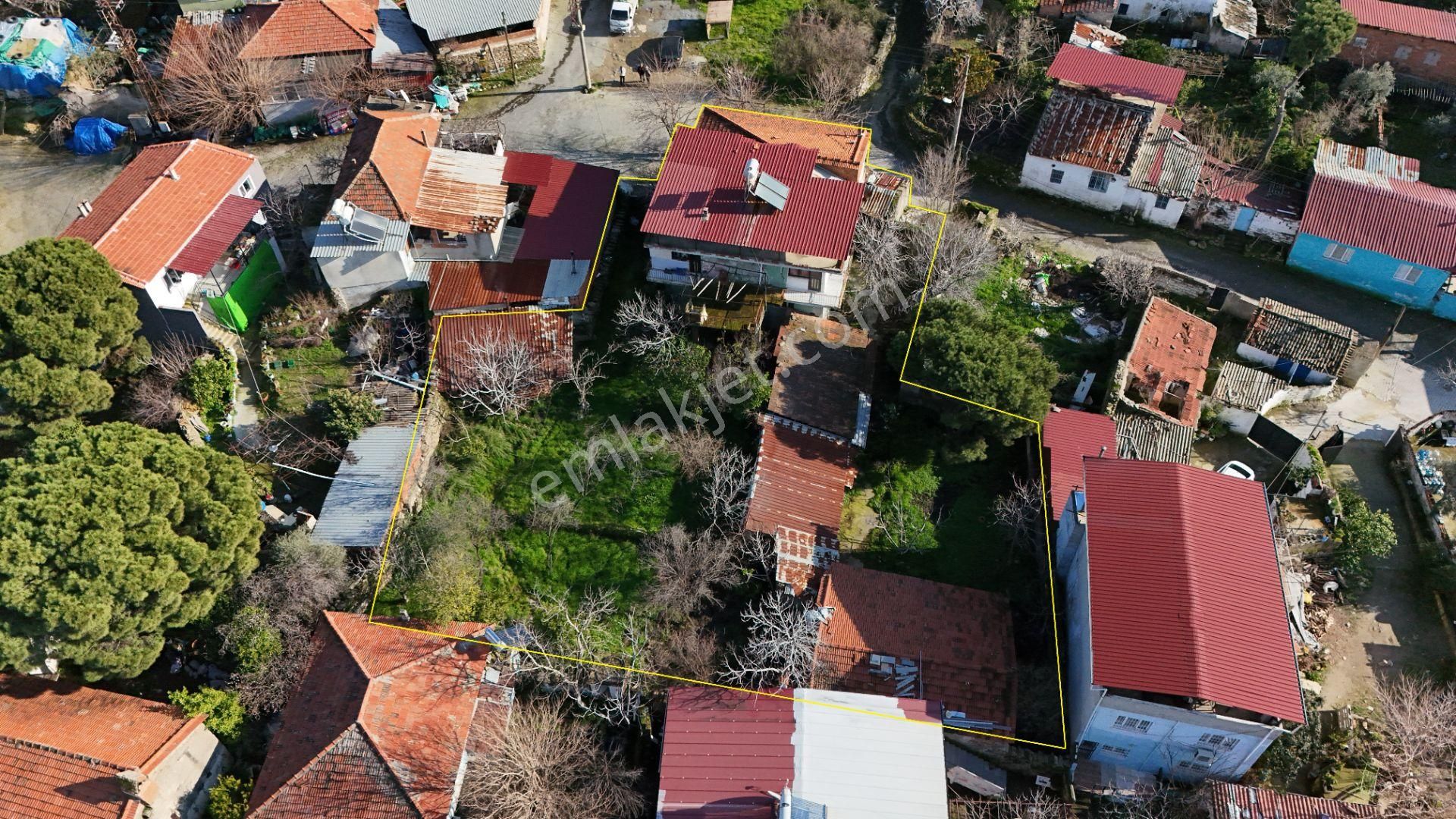 Söke Bağarası Satılık Çiftlik Evi Müstakil Bahçeli Çiftlik Evi