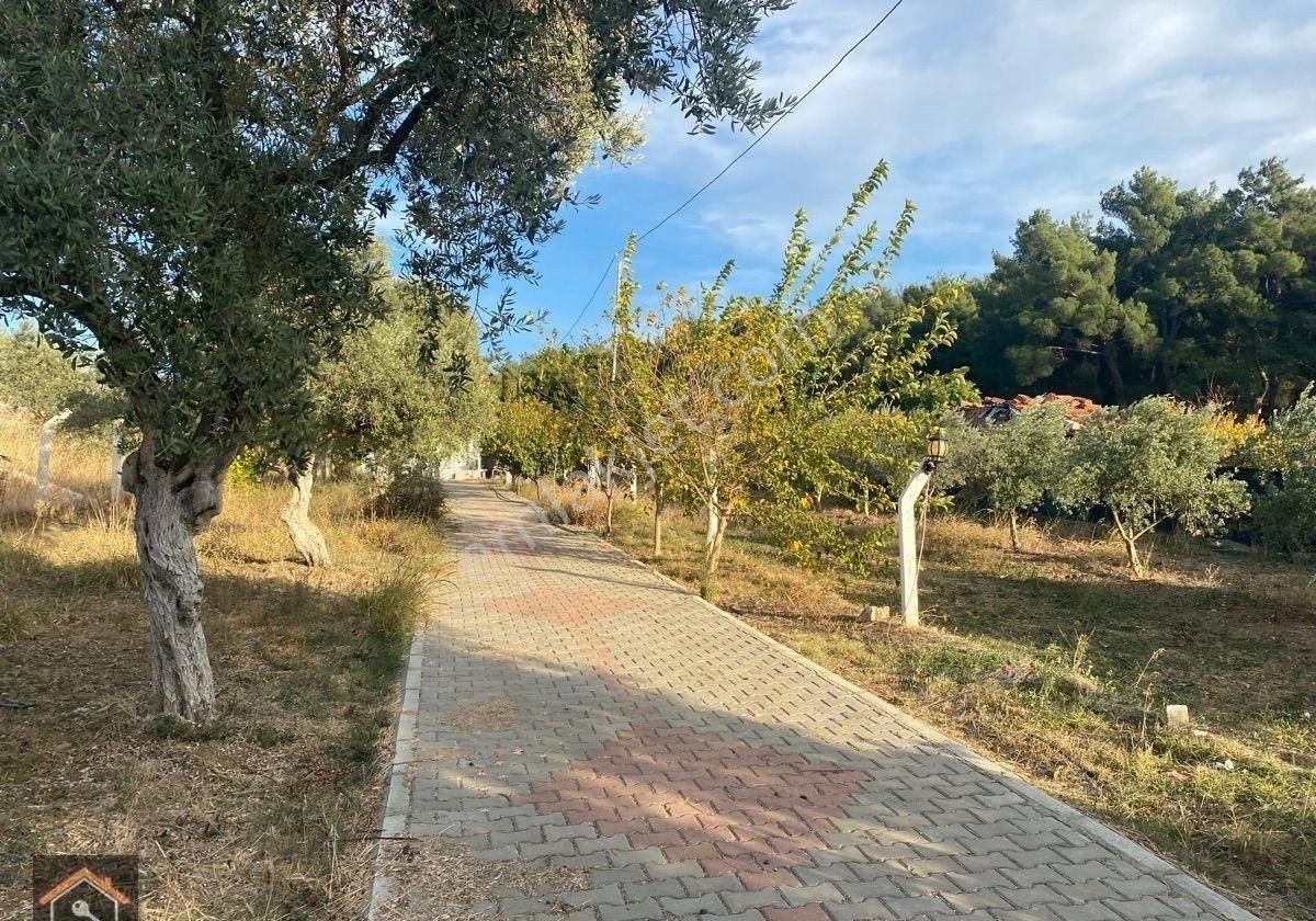 Günay Emlak’tan Torbalı Düverlik Mah 1.500 M2 Tek Tapu Satılık Bahçe - Görsel 31