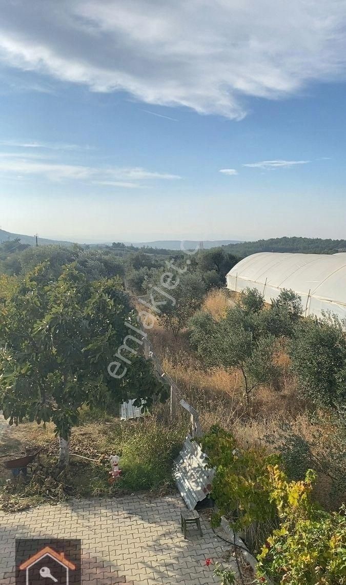 Günay Emlak’tan Torbalı Düverlik Mah 1.500 M2 Tek Tapu Satılık Bahçe - Görsel 17