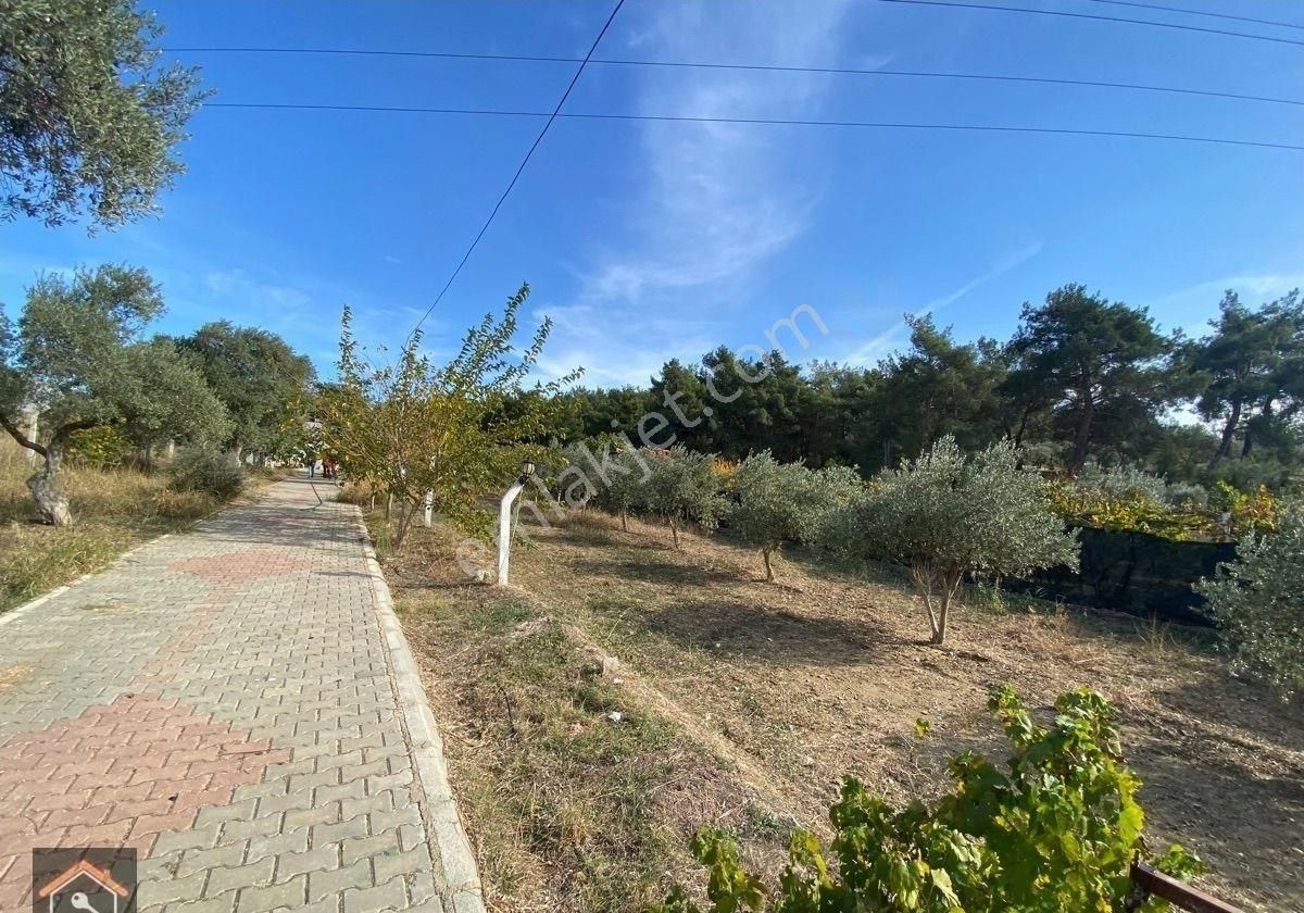 Günay Emlak’tan Torbalı Düverlik Mah 1.500 M2 Tek Tapu Satılık Bahçe - Görsel 14