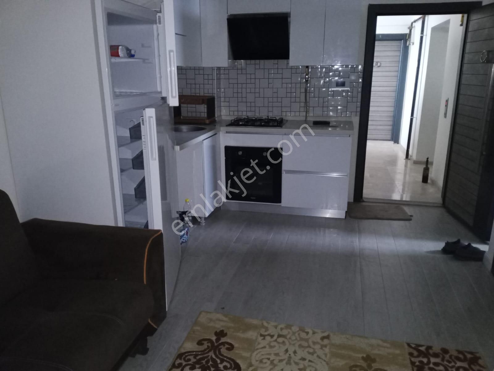 Menemen 85. Yıl Cumhuriyet Kiralık Daire Seyrek'te 1+1 Mobilyalı Daire..