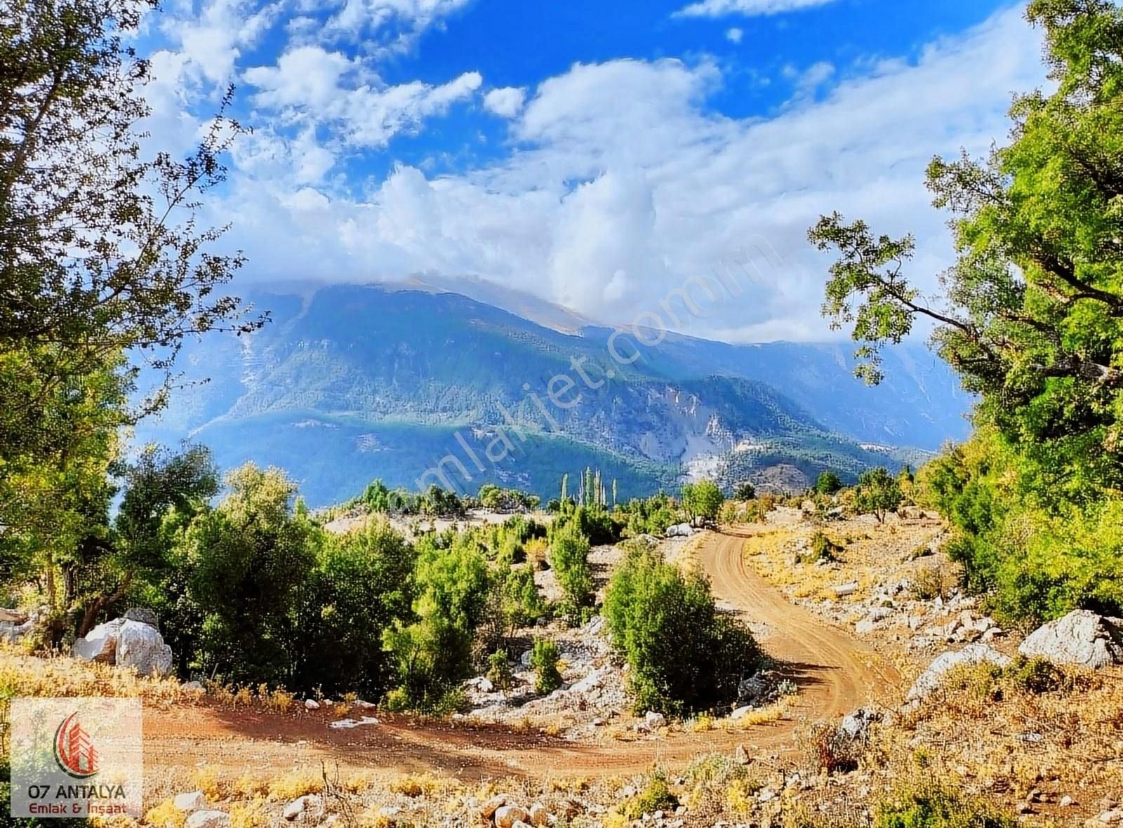 Kumluca Kuzca Satılık Tarla Kumluca Kuzca'da_2784 M2_satılık Parsel