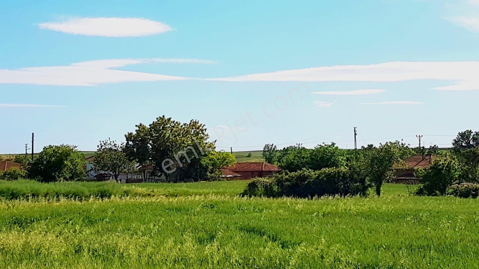 Edirne Merkez Karayusuf (mah.) Köyü Satılık Yatırımlık Arsa