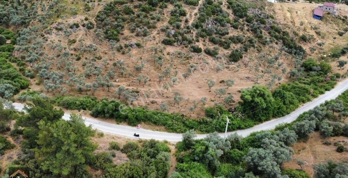 Torbalı Taşkesik Satılık Tarla Günay Emlak'tan Torbalı Taşkeşik Köyünde 15 Dönüm Satılık Zeytinlik